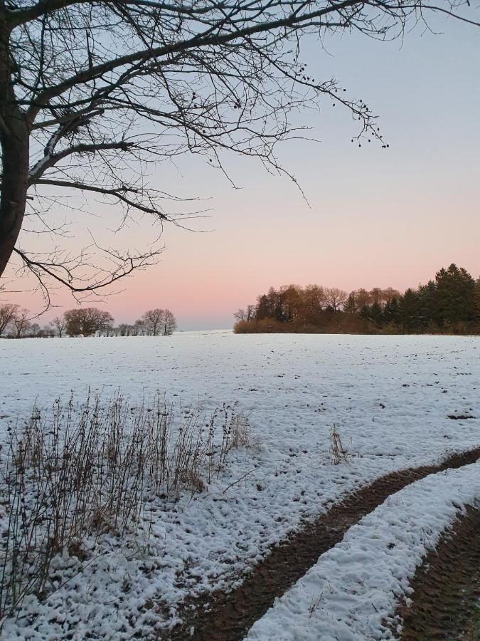 Edelsminde Bed & Breakfast Haslev Bagian luar foto
