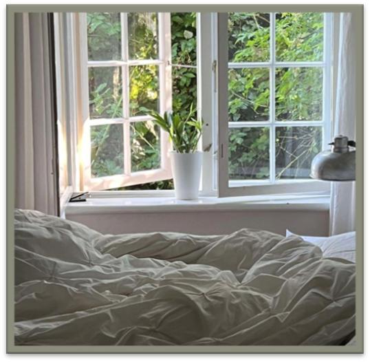 Edelsminde Bed & Breakfast Haslev Bagian luar foto